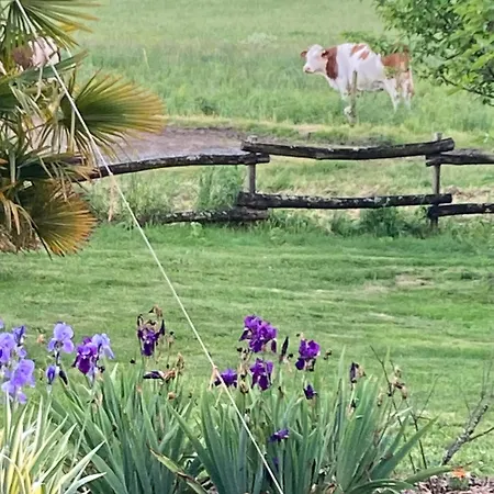Hébergement de vacances La Passuitière Saint-Mesmin (Vendee)