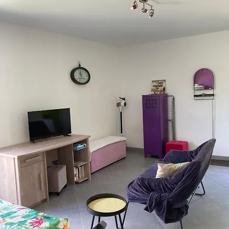 Prázdninový dům La Passuitiere