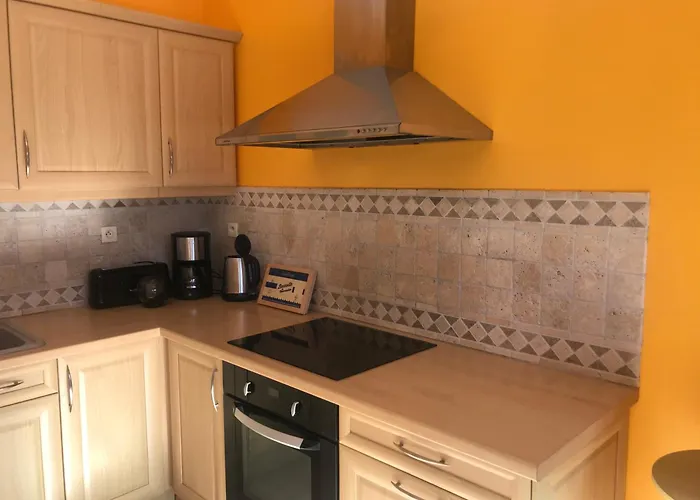 בית נופש La Passuitiere Saint-Mesmin (Vendee)